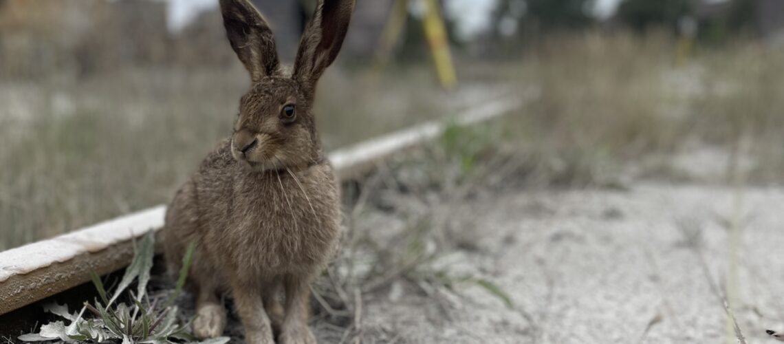 Außendienst Vermessung